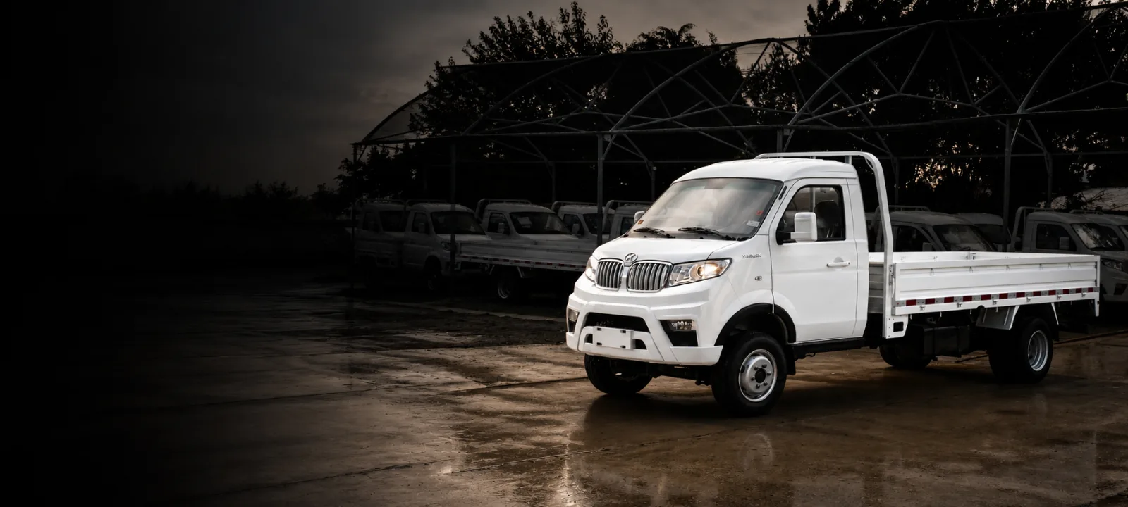 Minitruck Shineray T50