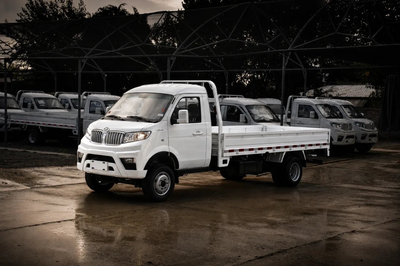 Minitruck Shineray T50